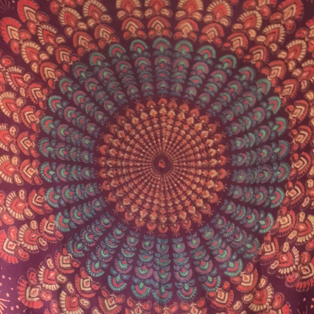 Meet your Posher, Kasey